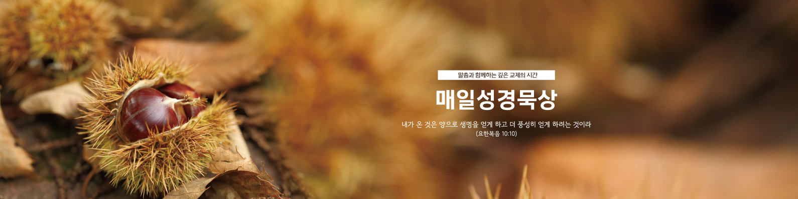 2025 매일성경묵상