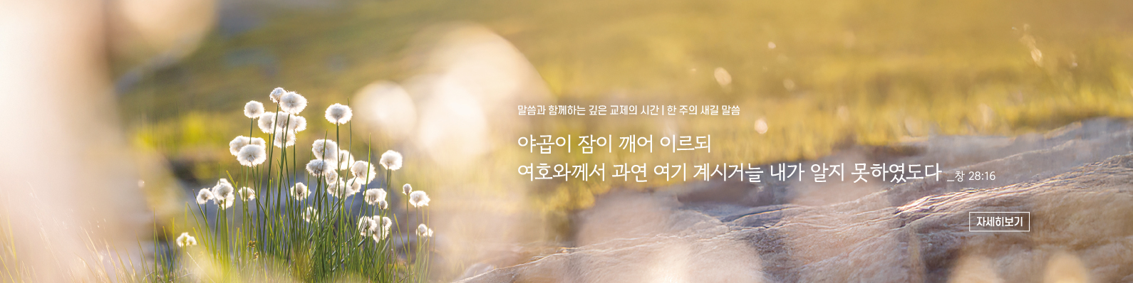 매일성경묵상