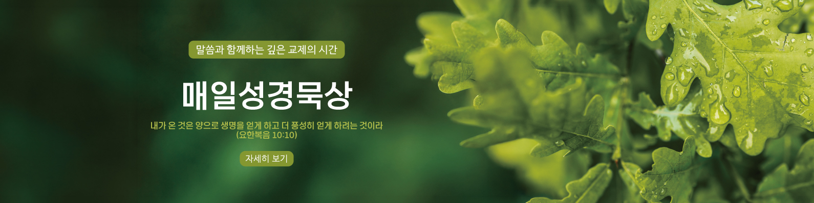 매일성경묵상