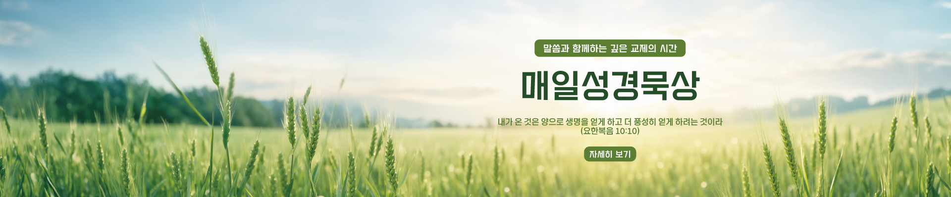 매일성경묵상