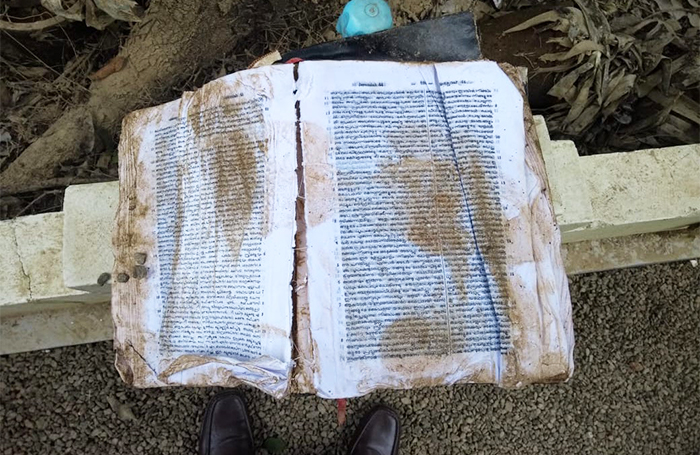 01caefacb6404e61f14b1bd39a816839_1545280712_9354.jpg 01caefacb6404e61f14b1bd39a816839_1545280